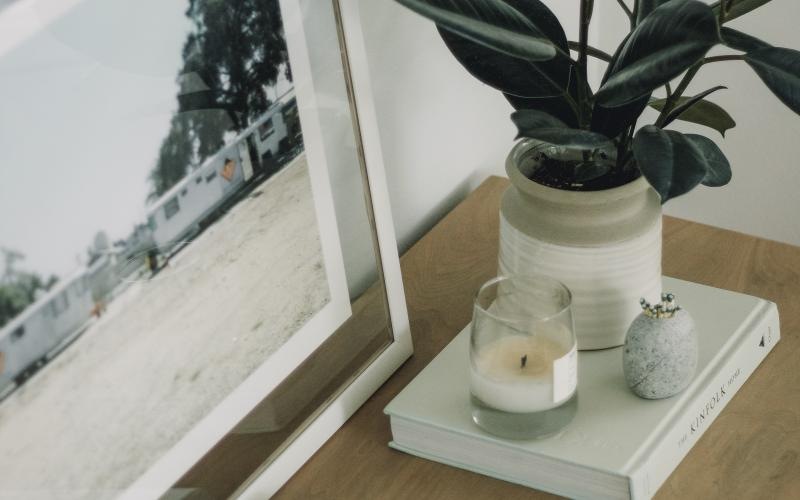 a vase with a plant on a table