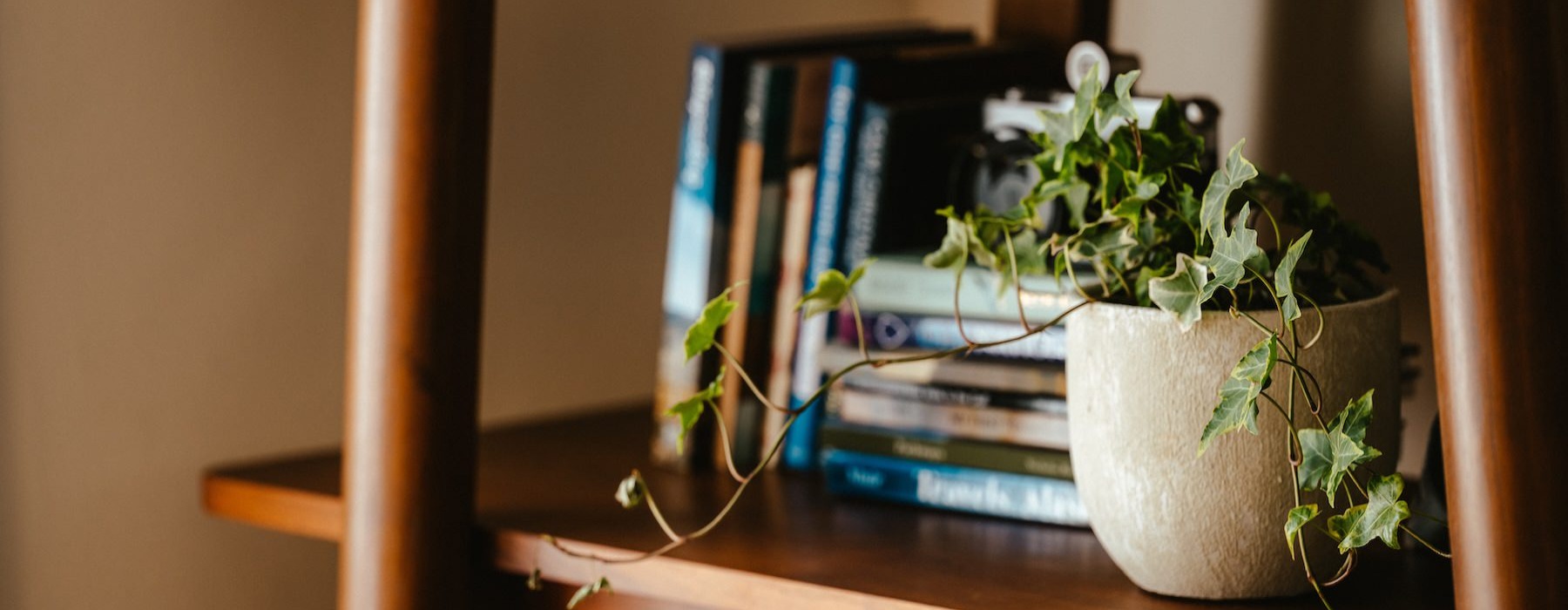a shelf with a plant and books on it