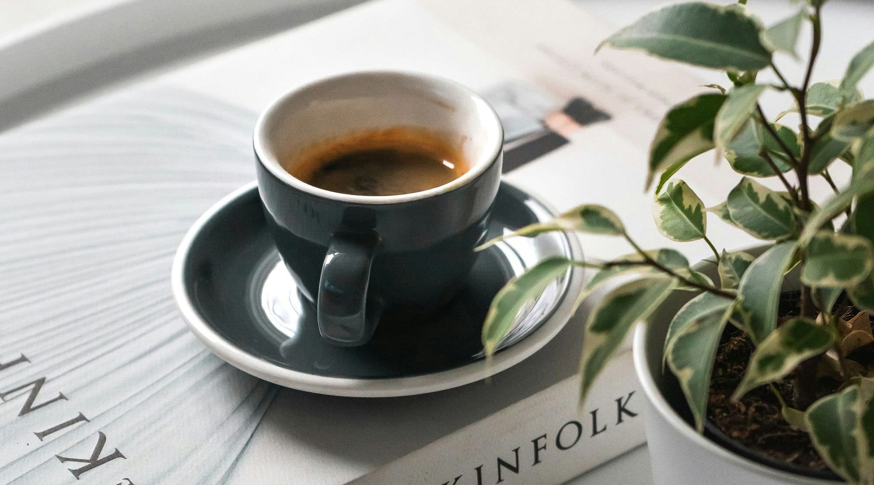 A coffee table with a book, cup of espresso on a saucer, and a plant.