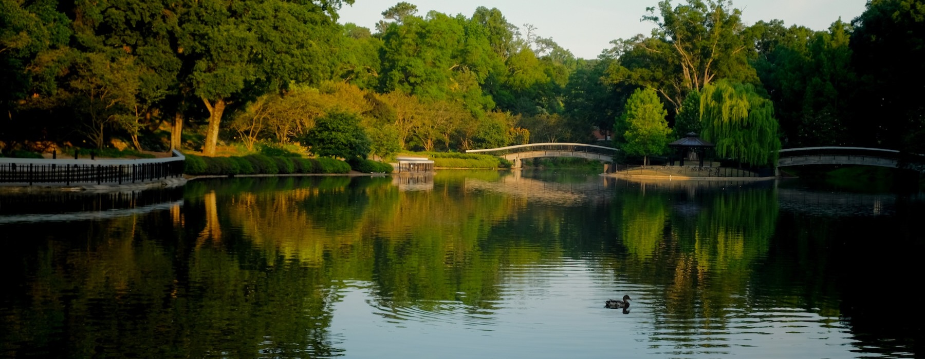a body of water with trees around it